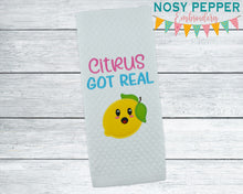 Load image into Gallery viewer, Citrus got real Applique machine embroidery design (5 sizes included) DIGITAL DOWNLOAD